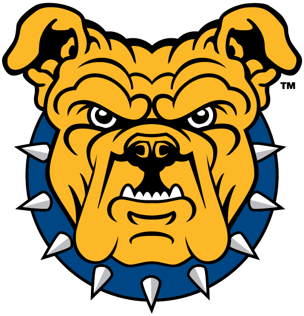 North Carolina A&T Aggies 2006-Pres Partial Logo v2 diy iron on heat transfer